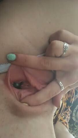 free hi def porn vid