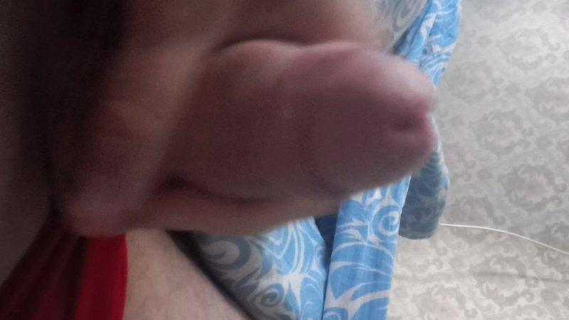 vacaciones xxx sexo incluido