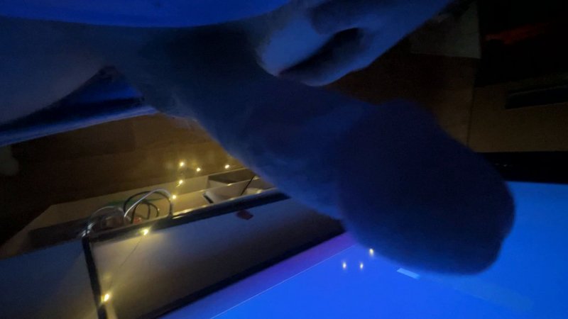 adult xxx comics ft. Anna Rays — free porn video (50:09)