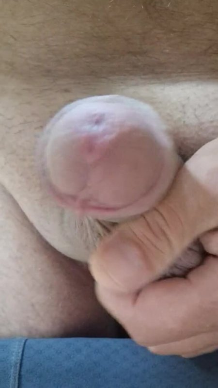 upskirts streaming video